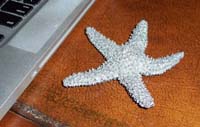 Starfish Gift.jpg