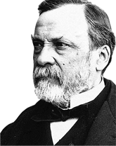 Louis Pasteur.png