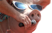 Pig Sing.png