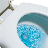 Toilet Swirl.png