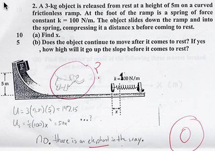 Elephantal Physics