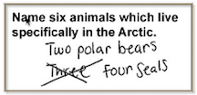 Polar Bear Homework