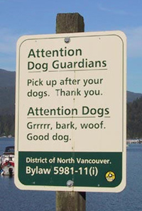 Attention dog guardians