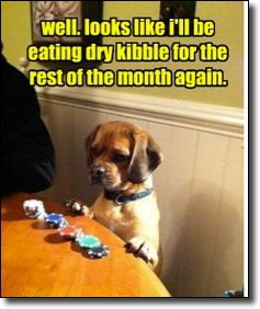 Kibble