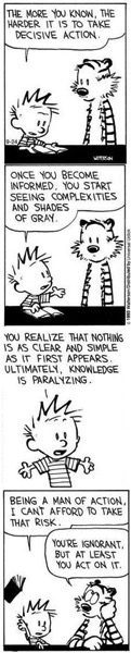 Calvin  hobbes ignorant but act on it copy