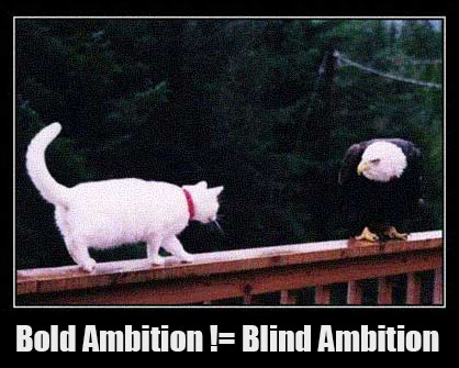 Bold ambition