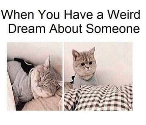 Weird dream